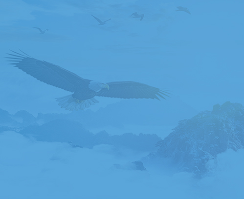 湖州網(wǎng)站建設(shè)，網(wǎng)絡(luò)推廣